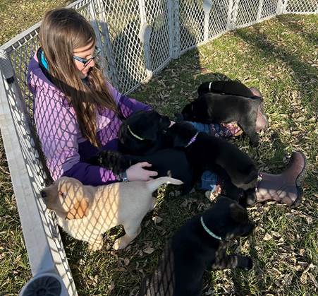 A person sitting in a pen with several puppies

Description automatically generated