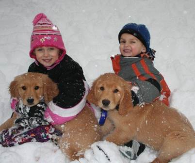 snowpuppies[1] (Medium)